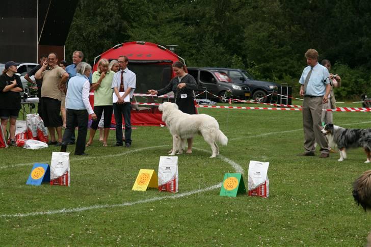 KHKG Udstilling billede 52
