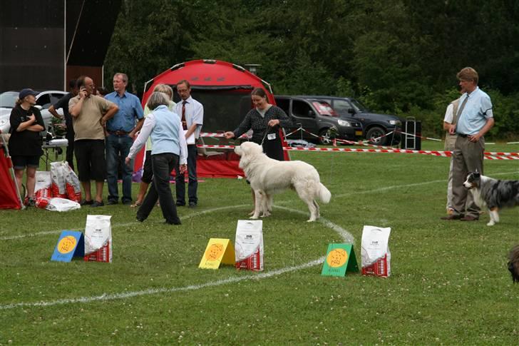 KHKG Udstilling billede 53