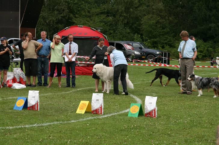 KHKG Udstilling billede 54