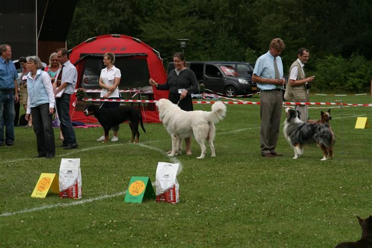 KHKG Udstilling billede 56