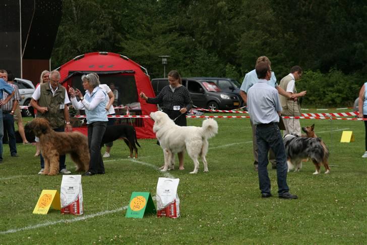 KHKG Udstilling billede 57