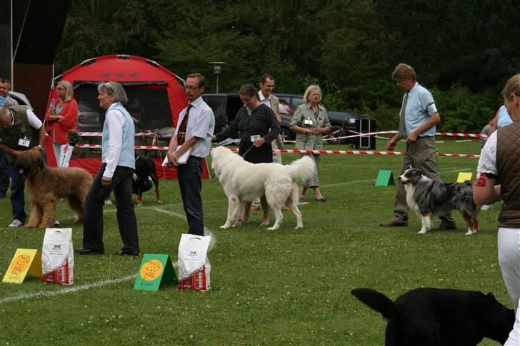 KHKG Udstilling billede 58