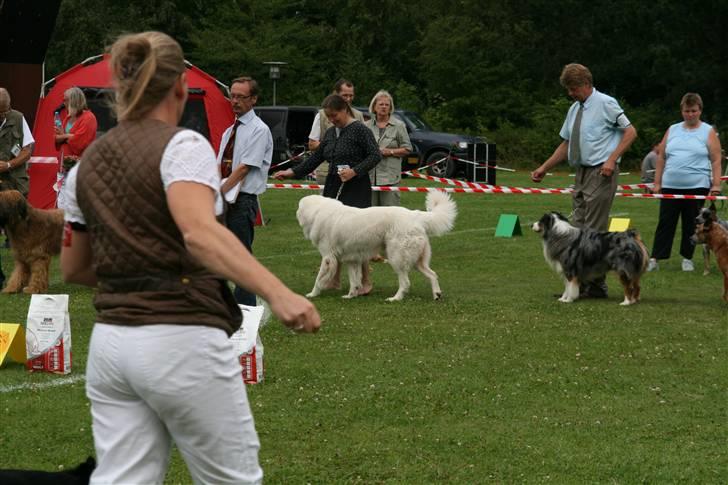 KHKG Udstilling billede 59