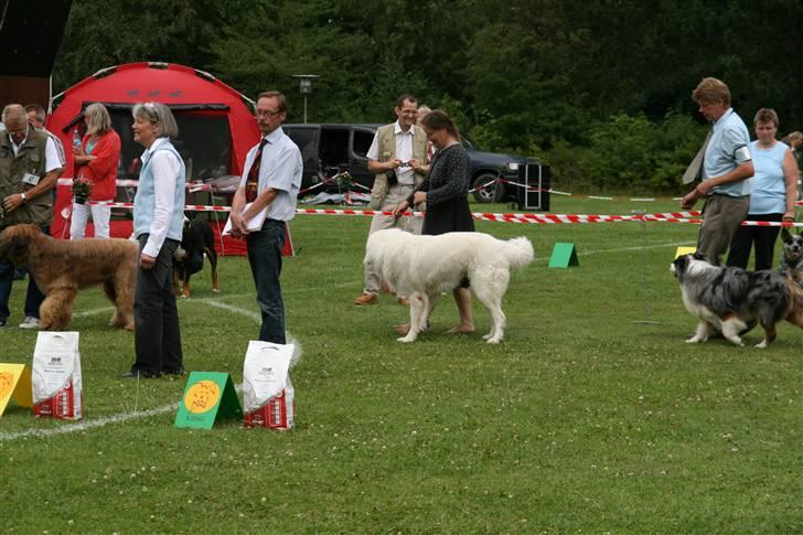 KHKG Udstilling billede 60
