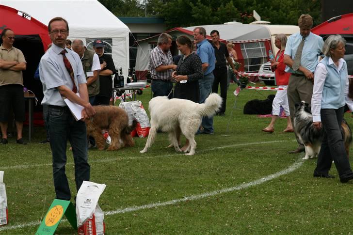 KHKG Udstilling billede 61