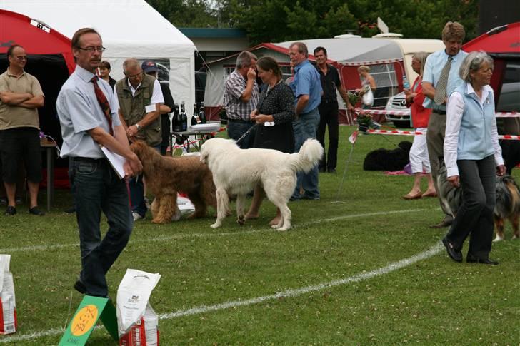 KHKG Udstilling billede 62