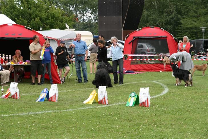 KHKG Udstilling billede 63