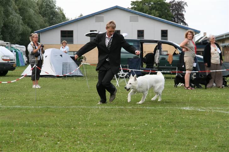 KHKG Udstilling billede 66