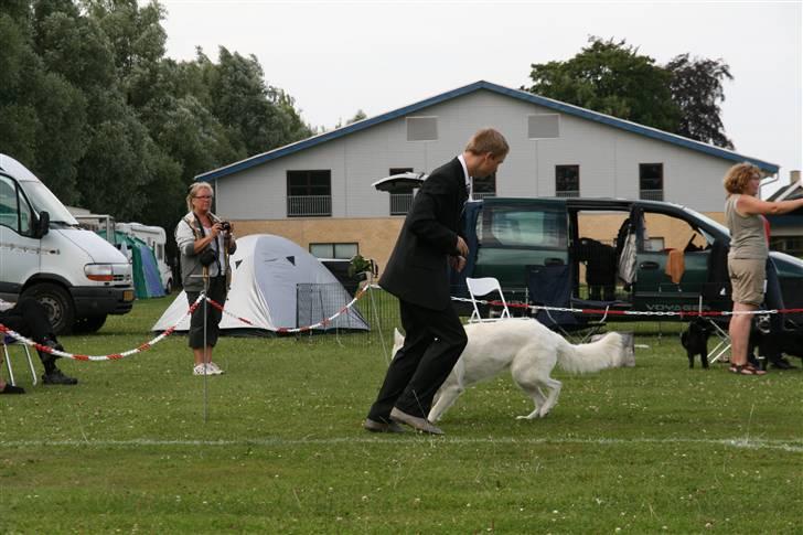 KHKG Udstilling billede 70