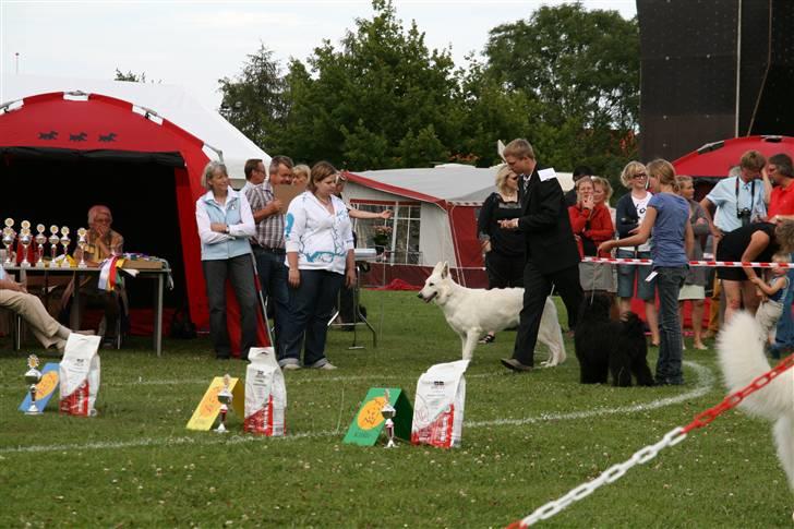 KHKG Udstilling billede 73