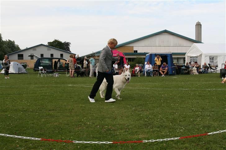 KHKG Udstilling billede 74
