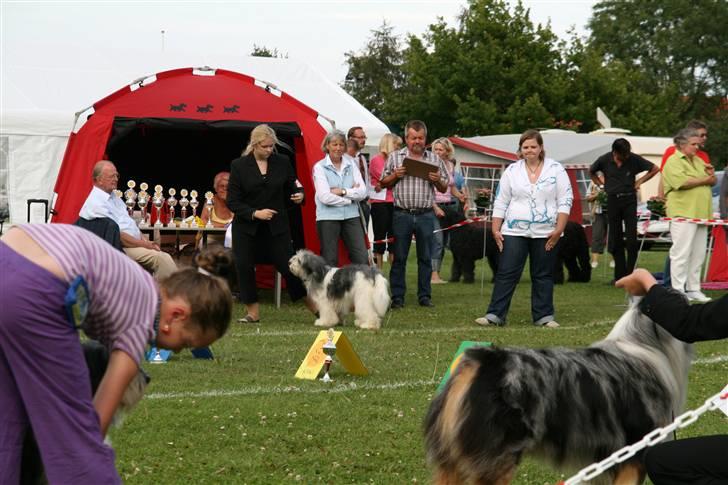 KHKG Udstilling billede 78
