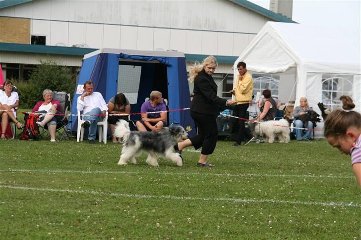 KHKG Udstilling billede 79