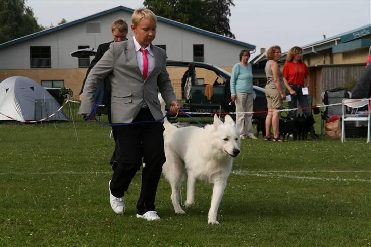 KHKG Udstilling billede 82