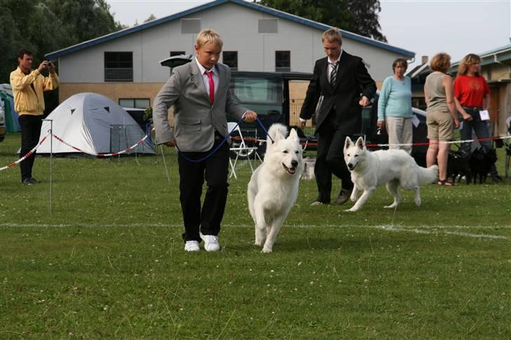 KHKG Udstilling billede 83