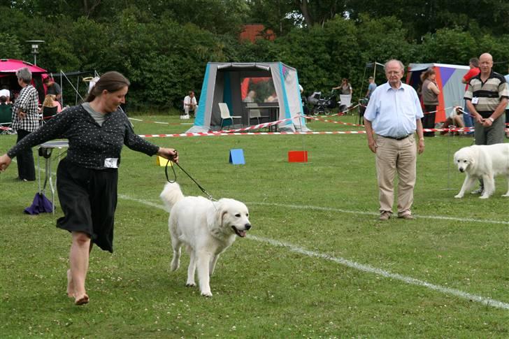 KHKG Udstilling billede 132