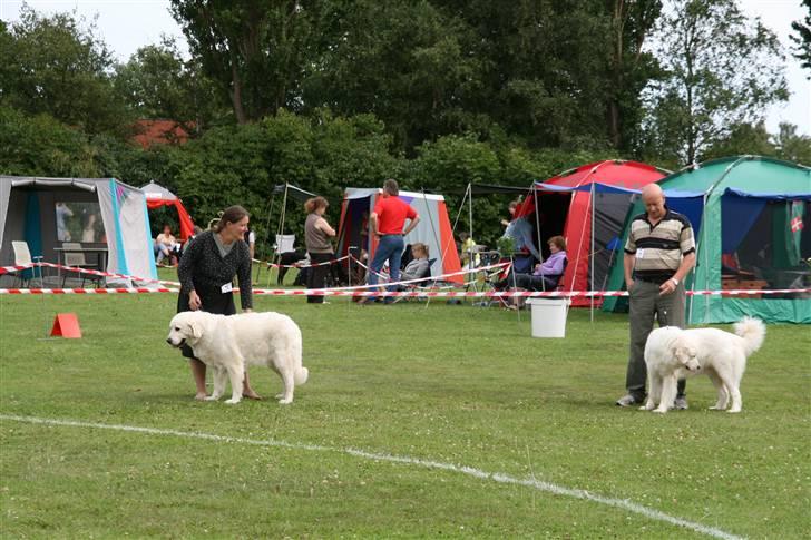 KHKG Udstilling billede 137