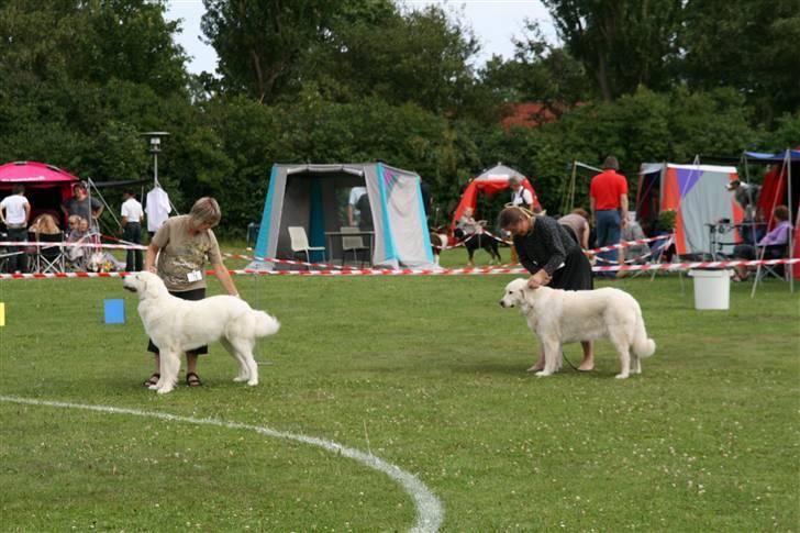 KHKG Udstilling billede 144