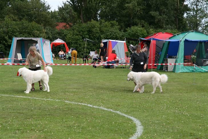 KHKG Udstilling billede 148