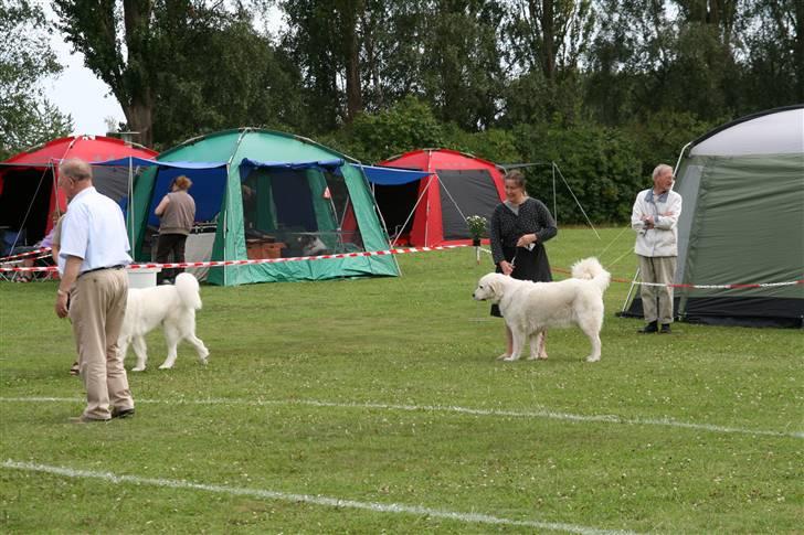KHKG Udstilling billede 149