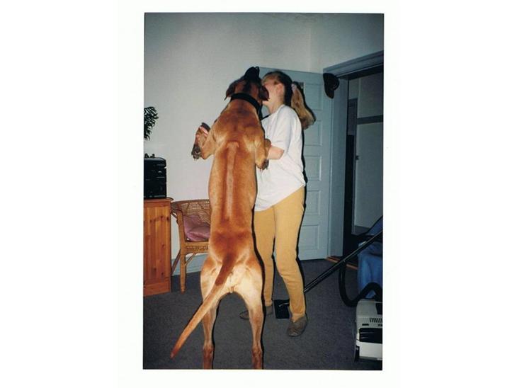 {{currentPhoto.altText}} billede {{currentPhoto.number}}