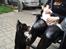 Hundeleg 2-8-09