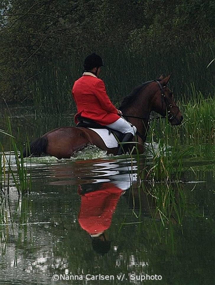Jagt på Hjerl Hede - 09/08 billede 28