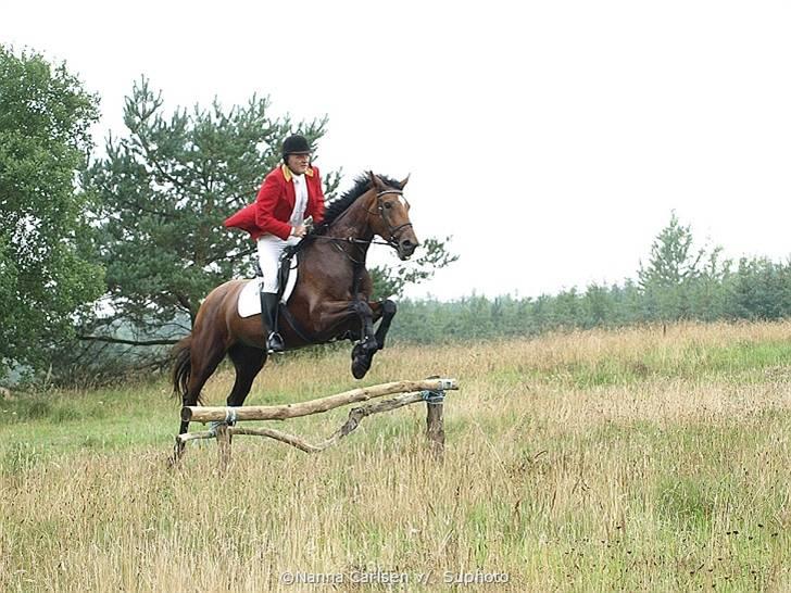 Jagt på Hjerl Hede - 09/08 billede 69