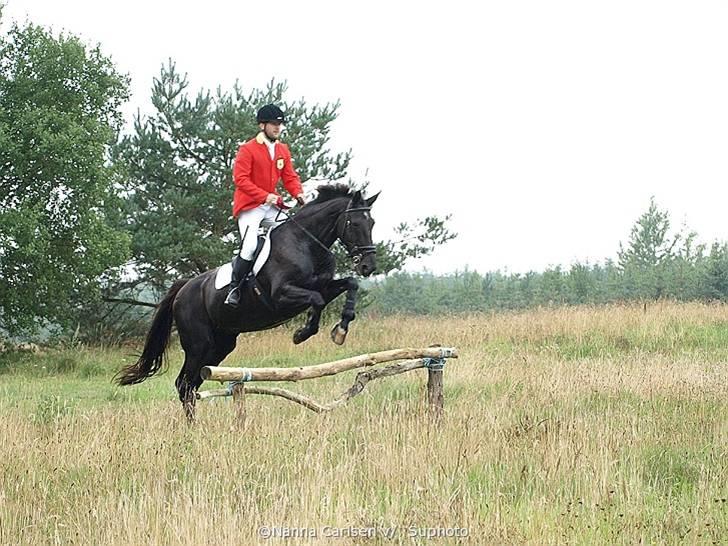 Jagt på Hjerl Hede - 09/08 billede 72