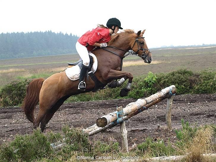 Jagt på Hjerl Hede - 09/08 billede 78