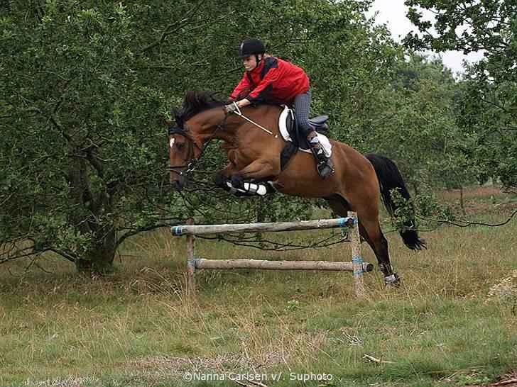 Jagt på Hjerl Hede - 09/08 billede 99