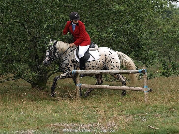 Jagt på Hjerl Hede - 09/08 billede 101