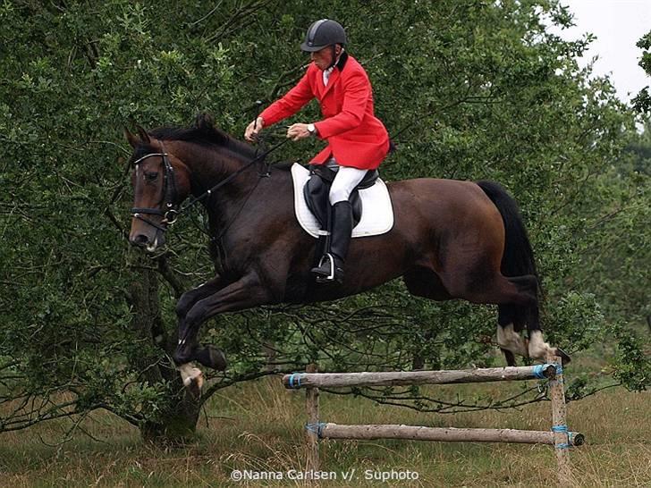 Jagt på Hjerl Hede - 09/08 billede 104