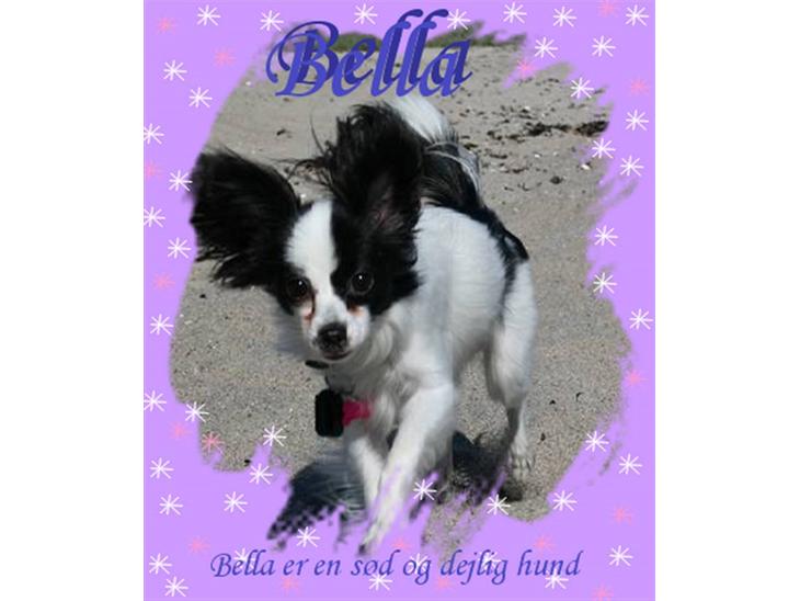 {{currentPhoto.altText}} billede {{currentPhoto.number}}