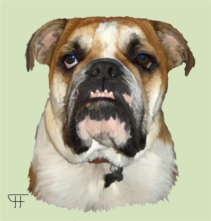 Tegninger af andres hunde - Engelsk bulldog Frode. billede 277