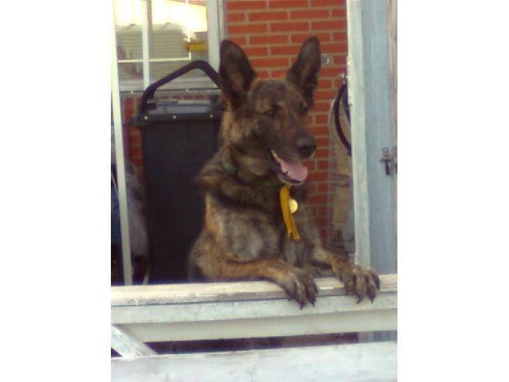 {{currentPhoto.altText}} billede {{currentPhoto.number}}