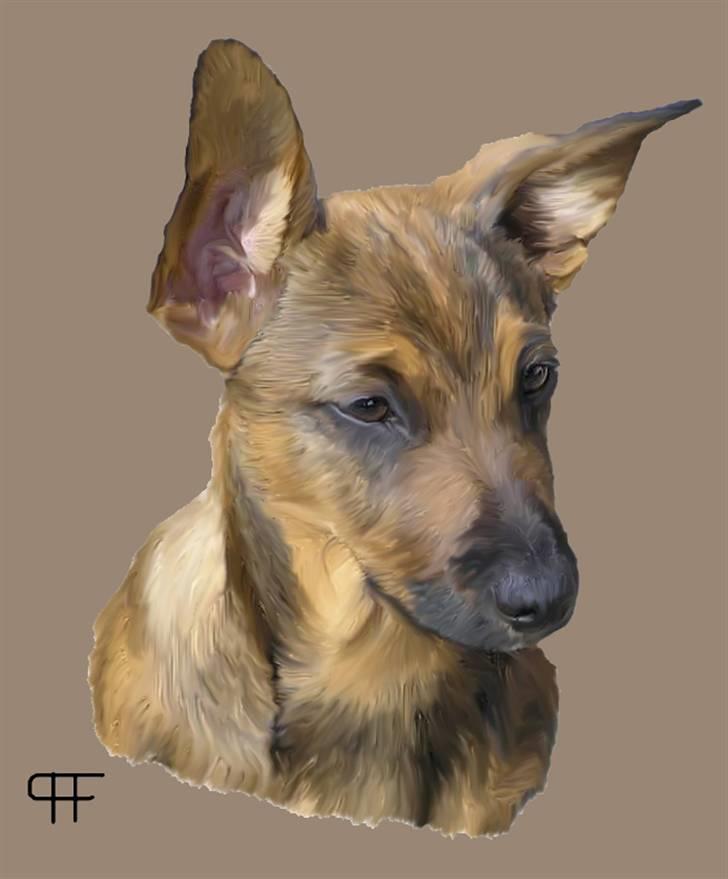 Tegninger af andres hunde - Blanding af racer Freja. billede 279