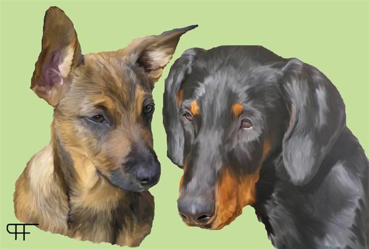 Tegninger af andres hunde billede 281