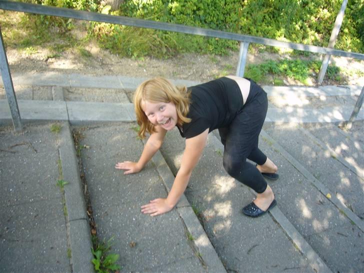 Hunde billeder billede 57