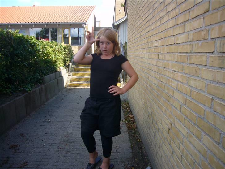 Hunde billeder billede 73