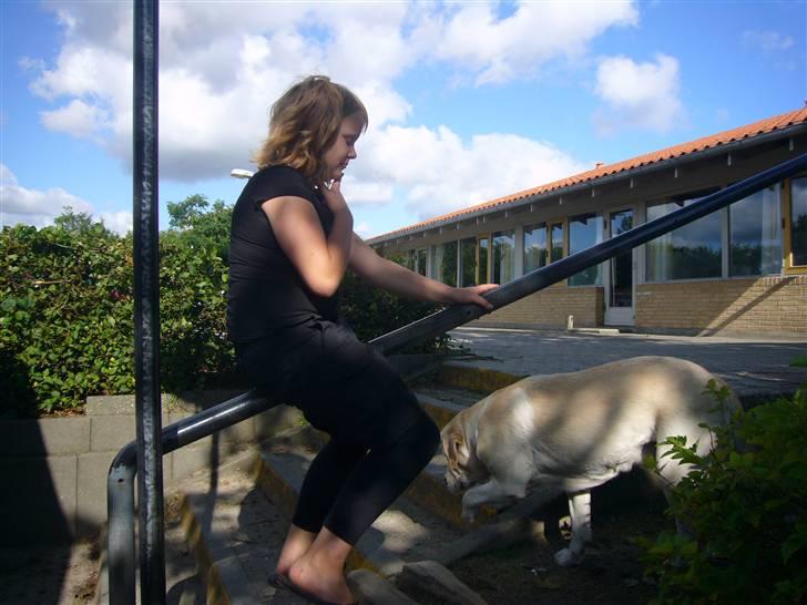 Hunde billeder billede 75