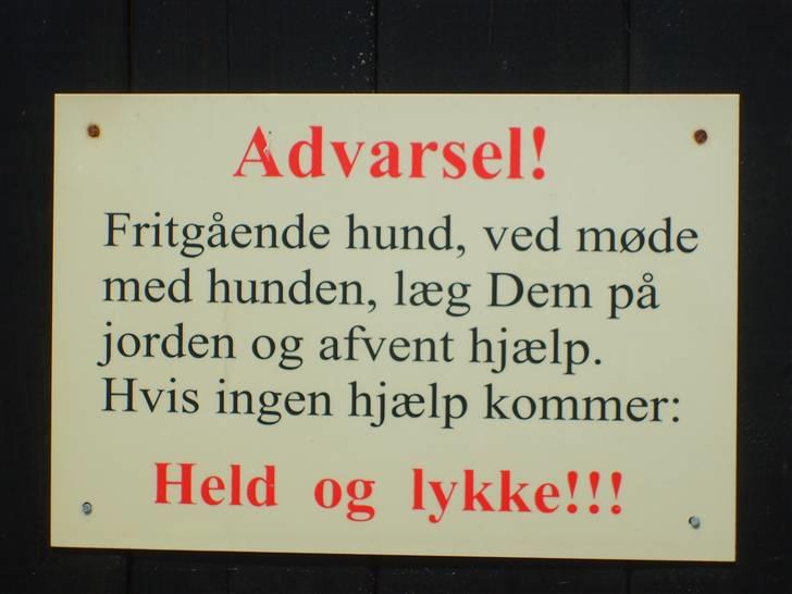 Møffe i hopla  - Dette skilt har mine forældre på porten ,
jeg er jo også meget farlig billede 3