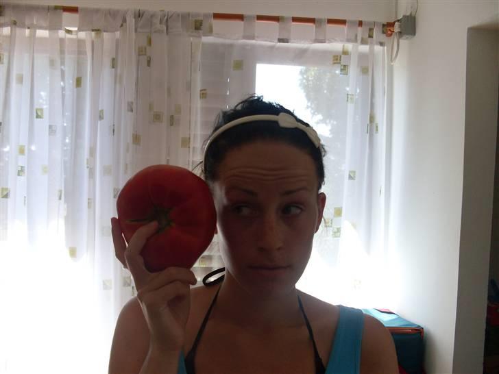 Ferie i Bosnien og kroatien - Det' en stoooooooor tomat!! billede 2