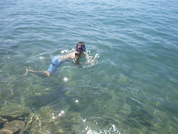 Ferie i Bosnien og kroatien - Badning i kroatien billede 15