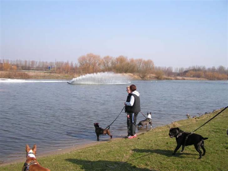 Devil og Nasty billede 25