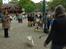 Hundens dag i TIVOLI København