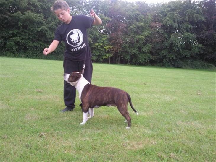 {{currentPhoto.altText}} billede {{currentPhoto.number}}