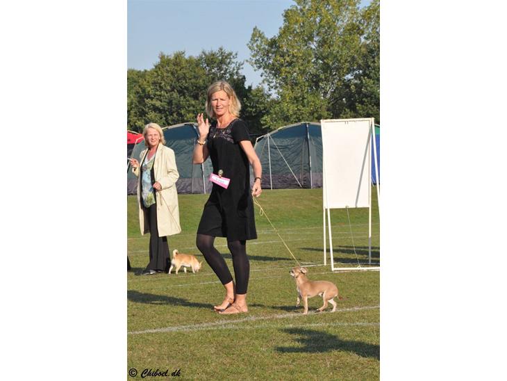 {{currentPhoto.altText}} billede {{currentPhoto.number}}