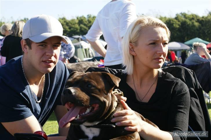 Udstilling i Brøndby billede 1