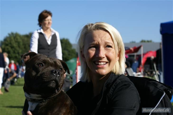 Udstilling i Brøndby billede 3